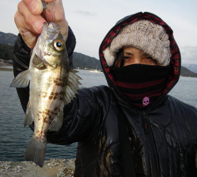 ♪♪　今回は小浜方面を偵察に　♪♪