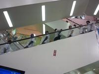 チーム発表会♪ 2011/09/04 17:09:04
