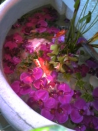 三寒四温 )^o^( 2010/03/10 00:01:51