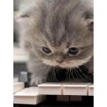 マチグァ〜で声かけられ？ 2010/03/13 00:13:42