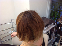 セレブヘアー 2013/11/21 20:42:02