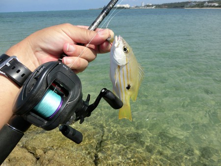 あぶ lt7 改 ベイトフィネス仕様 使用後レビュー Abu Garcia