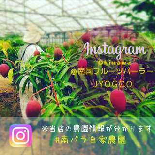 Instagram から情報発信