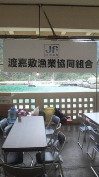 初出店