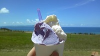 石垣.6☆ 2011/08/22 21:48:59