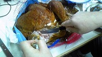 ポカイヴ☆ 2010/12/24 18:27:32