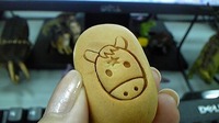 いつも上天気☆ 2010/12/28 20:35:40