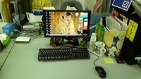 大掃除？☆ 2010/12/31 18:18:13