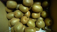 キウイフルーツ☆ 2011/12/15 18:10:25