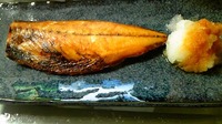 サバダバサバダバー☆ 2011/03/08 21:48:54