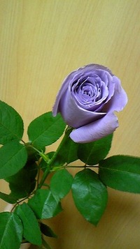 APPLAUSE☆ 2011/10/30 22:39:20