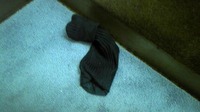今日これまで☆ 2011/10/29 12:37:32