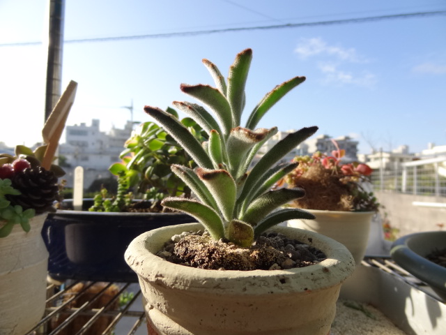 おはよう～