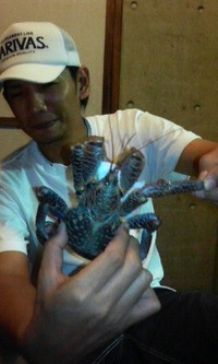 ヤシガニ発見 2010/04/27 14:30:45