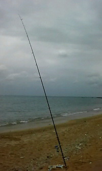 大撃沈 2010/04/28 10:30:14