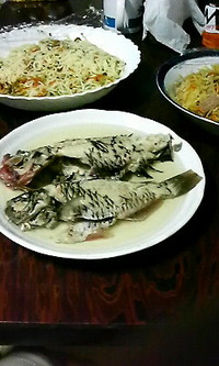 石垣島一文字 2010/04/29 21:44:59