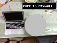 でかいよ！コレ
