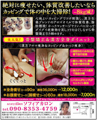 １０月スタートの新メニューです。骨盤矯正＆漢方全身ダイエット 2013/09/19 00:51:05