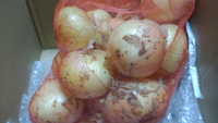 旬の味覚 2014/05/11 02:54:28