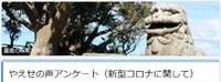 一般質問しました！（やえせの声編） 2020/06/25 15:46:06