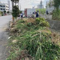 雑草、雑談、住みよい環境に 2020/12/13 23:15:00