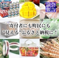 寄付者にも町民にも”見える”ふるさと納税に！／議会報告 2022/04/23 05:14:08