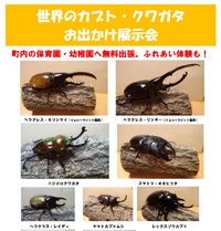 世界のカブト・クワガタお出かけ展示会 2020/08/06 23:15:00