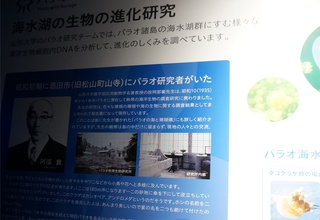 パラオと北国を結ぶもの