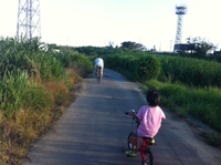 空腹時の胃のしくしく痛みに 2013/06/24 16:44:18