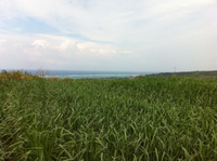 10月の臨時休業 2013/10/03 15:56:06