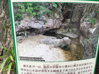 瀬名波ガーの家族清掃 2016/05/24 14:11:46