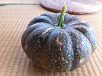 国敗れてかぼちゃあり 2013/08/02 21:09:56