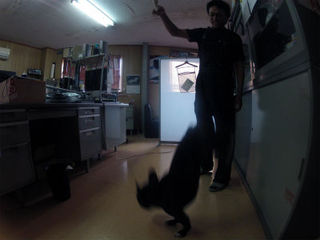 ちゃくちっ