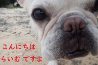 海散歩 2021/11/26 11:27:59