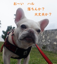ほんまは。。。 2021/12/06 10:51:36