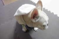 ファンヒーターの出番です 2021/12/28 16:26:46