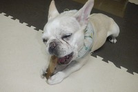 ガジガジ 2021/09/16 15:53:09