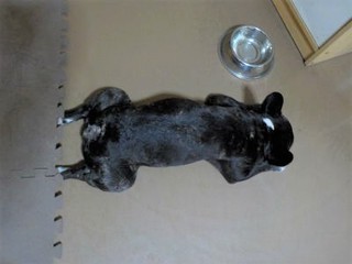 なんで？