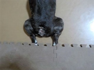 なんで？