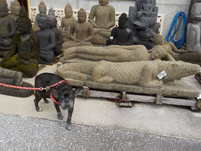 しんきんかん