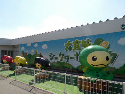 しーくゎーさー