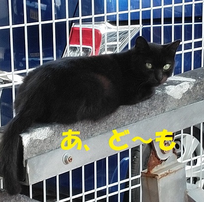 だれっ！？