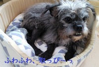 どいてっ 2021/11/04 13:29:40