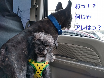 おでかけ