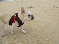 臭うぞ。。。 2021/11/16 14:55:39