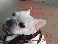 順番 2021/12/04 12:00:08