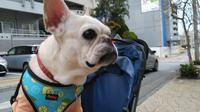 違った。。。 2022/03/28 15:37:47