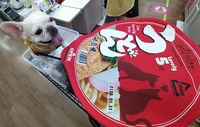 買ったけど・・・ 2022/09/18 15:46:41