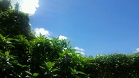 open 2014/07/04 10:43:06