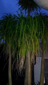 open 2014/07/10 09:46:16